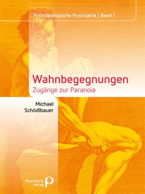cover image of Wahnbegegnungen